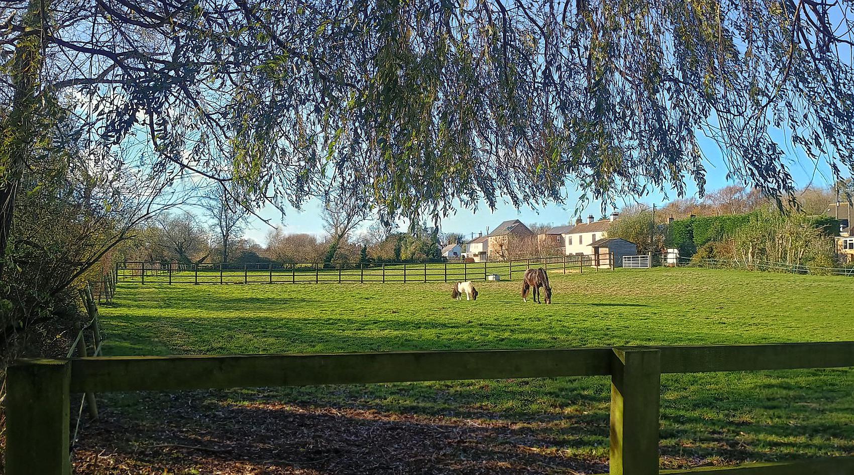 Photograph of Somersham CAMBRIDGESHIRE: Land or garden, from the original listing