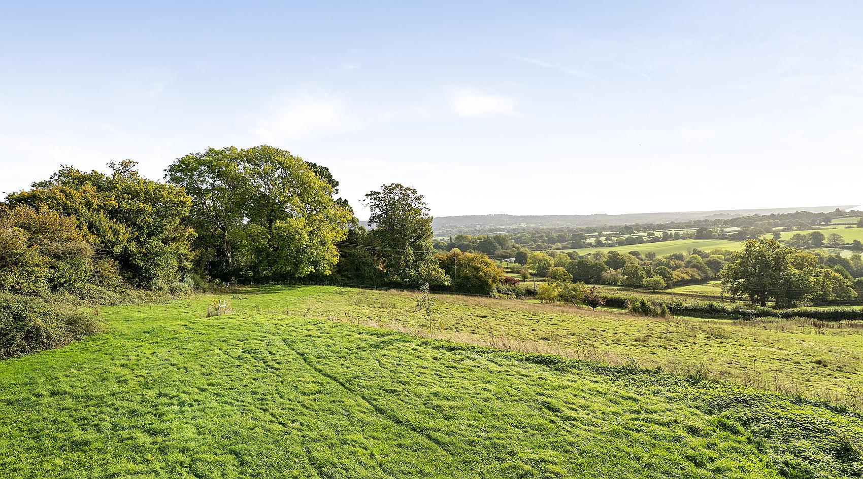 Photograph of Wadeford SOMERSET: Land or garden, from the original listing